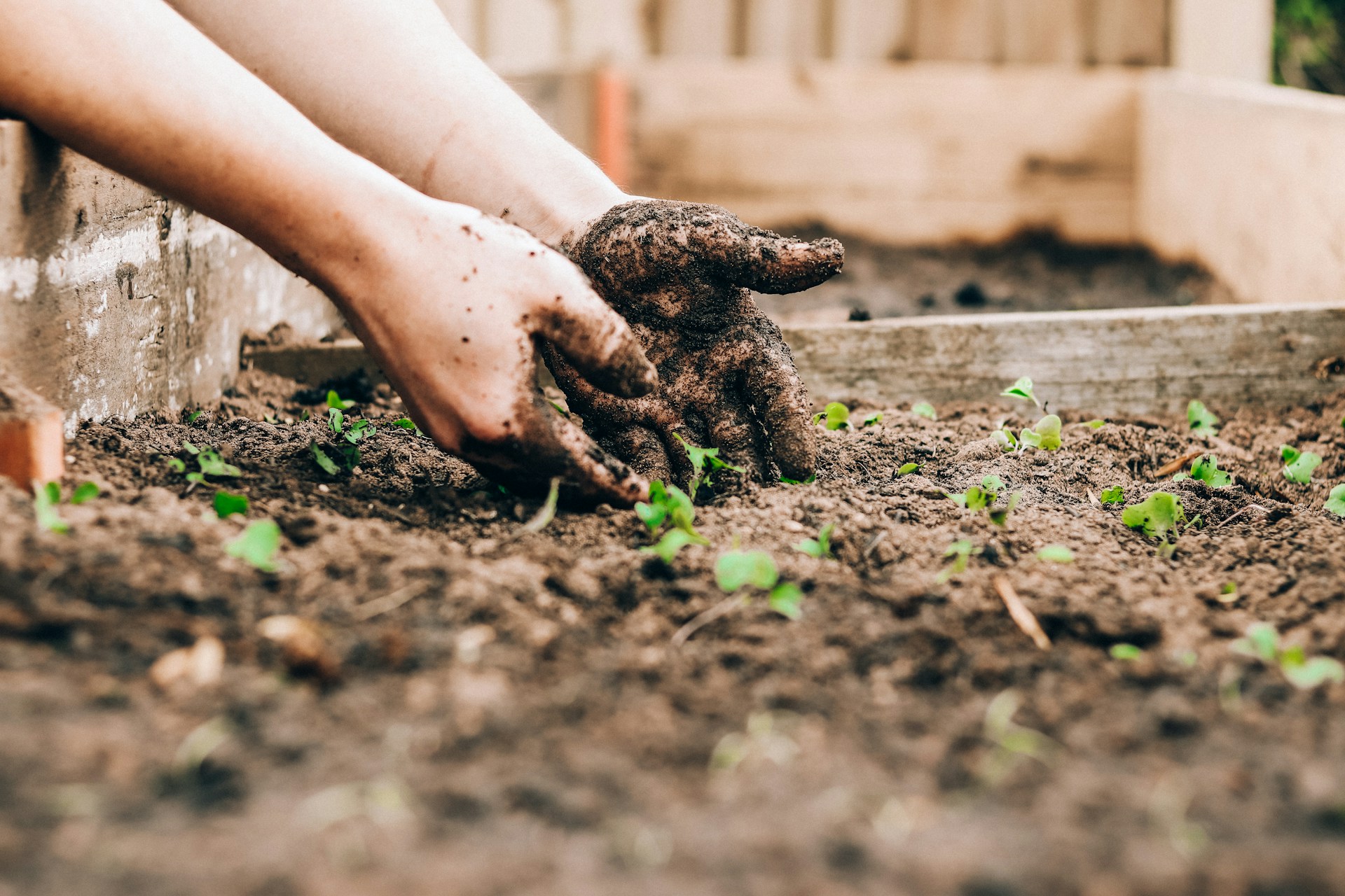 How to reduce odor when composting at home